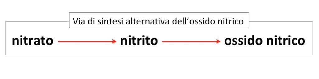 Glaucoma e stile di vita 3 Sintesialternativaossidonitrico cusumano