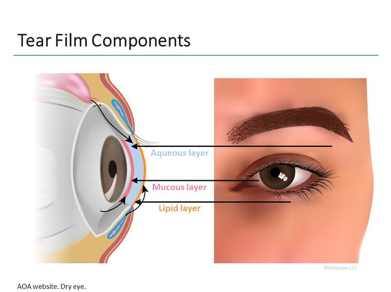 Immagine degli strati di un occhio: Strato Acquoso, mucoso e di grasso