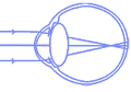 Interventi 4 Icon